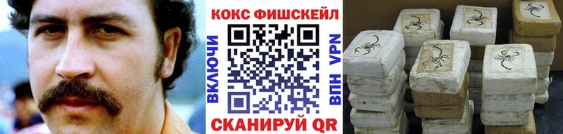 Cocaine FishScale  мега рабочий сайт  Киренск 