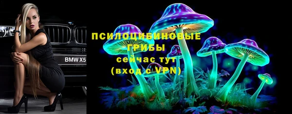 прущие грибы Киреевск