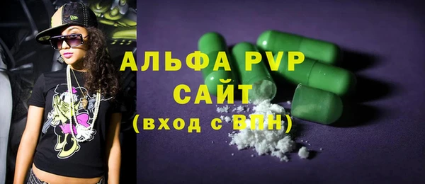 spice Каменка