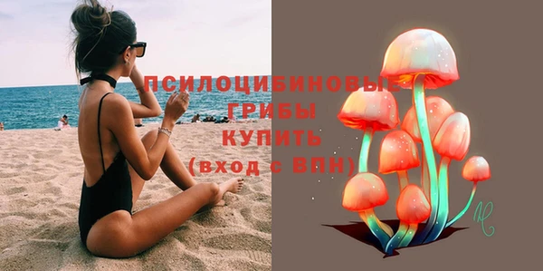 прущие грибы Киреевск