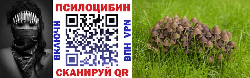 Псилоцибиновые грибы Cubensis  Киренск 